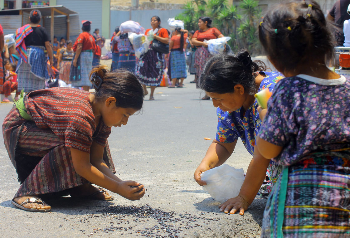 Mujeres recogen los granos que cayeron al suelo. 