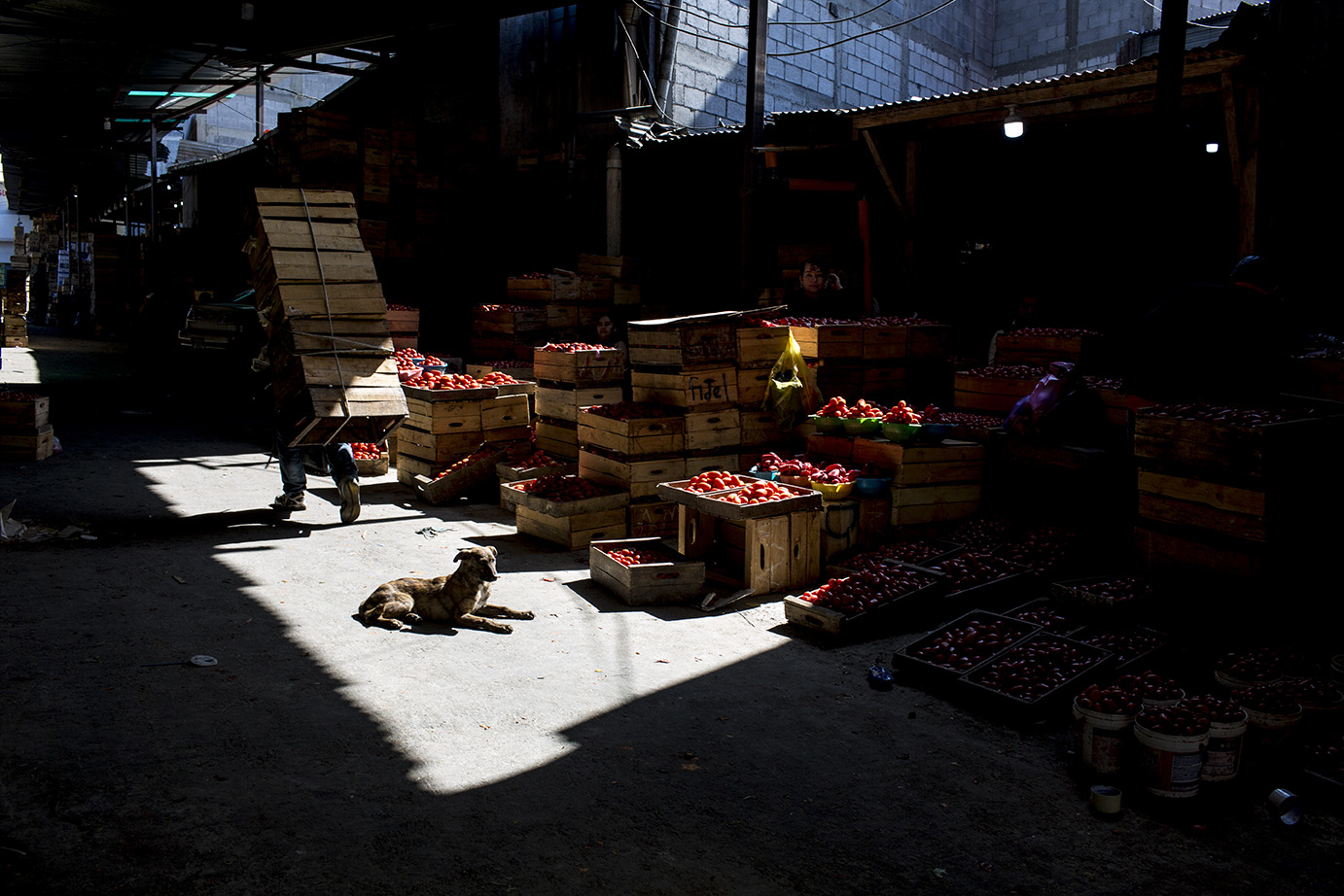 La Tomatera, en el mercado de la Terminal, luce desolada el miércoles 18 de marzo. El bloqueo del transporte público disminuyó enormemente la afluencia de clientes, a pesar de la disponibilidad de producto a vender. Simone Dalmasso