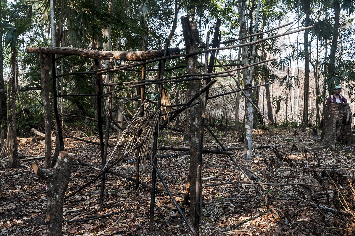 Una de las champas construidas por campesinos de La Mestiza, cerca de El Peruíto, fue quemada por las autoridades