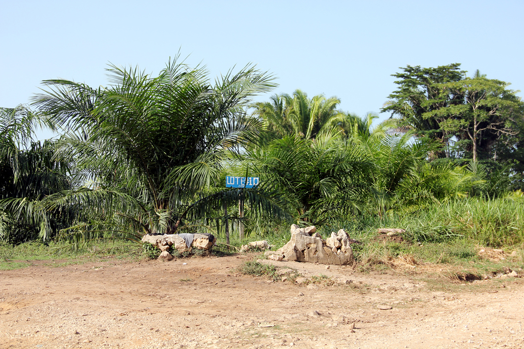 Un rotulo anuncia un lote de palma africana en terrenos de Otoniel Turcios Marroquín.